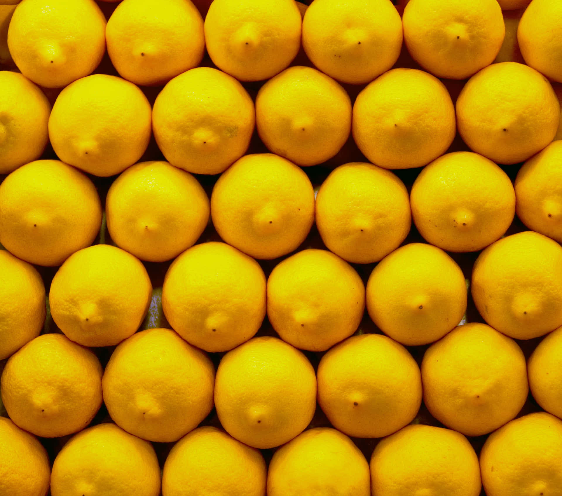 Fresh Lemons Pattern