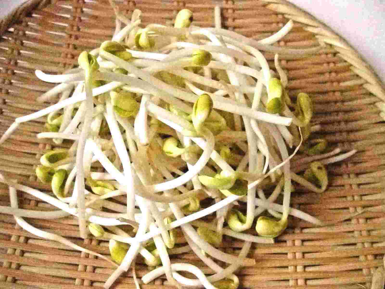 Fresh Mung Bean Sprouts - Versatile Asian Delight Background