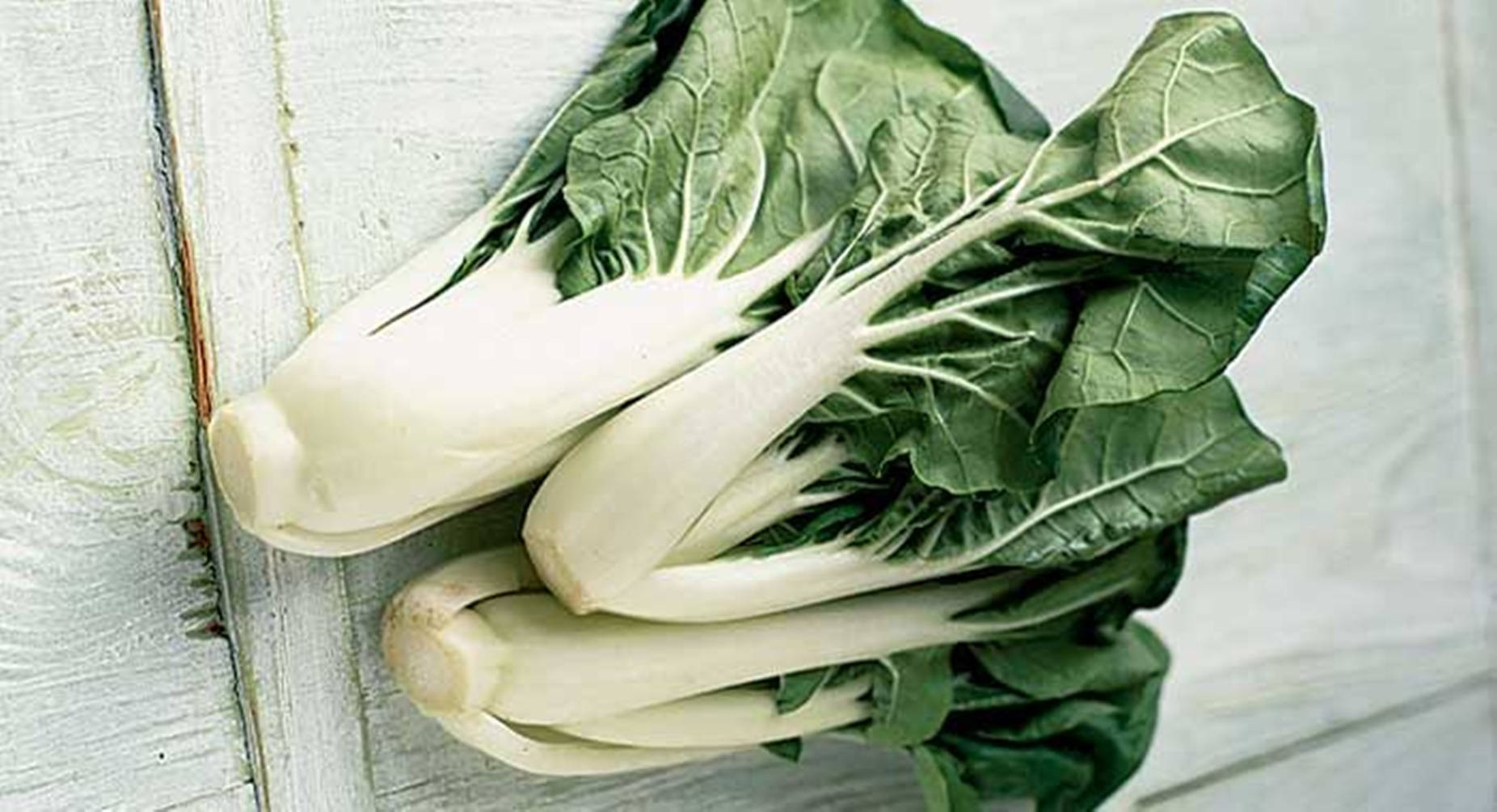 Fresh Nutritious Bok Choy Cabbages