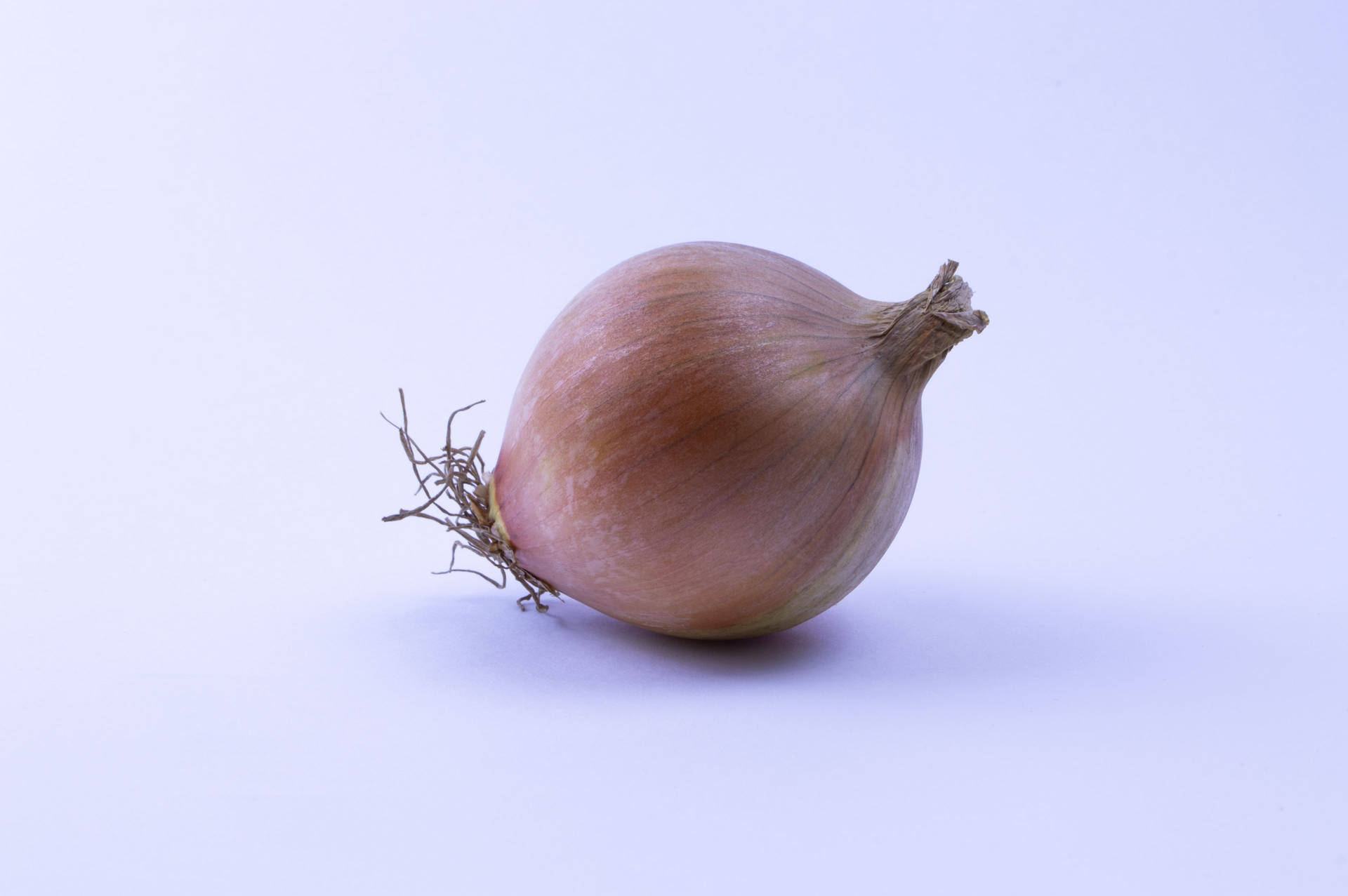 Fresh Onion With Intact Skin And Roots Background