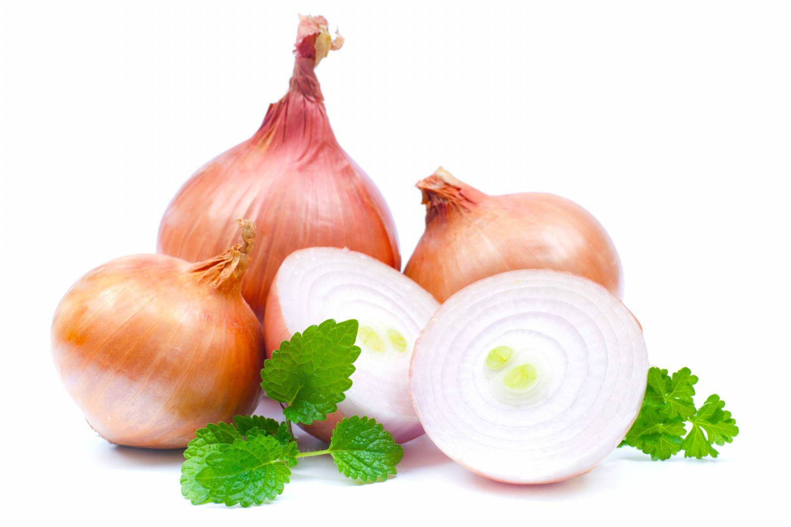 Fresh Onions Mingled With Aromatic Mint And Coriander Background