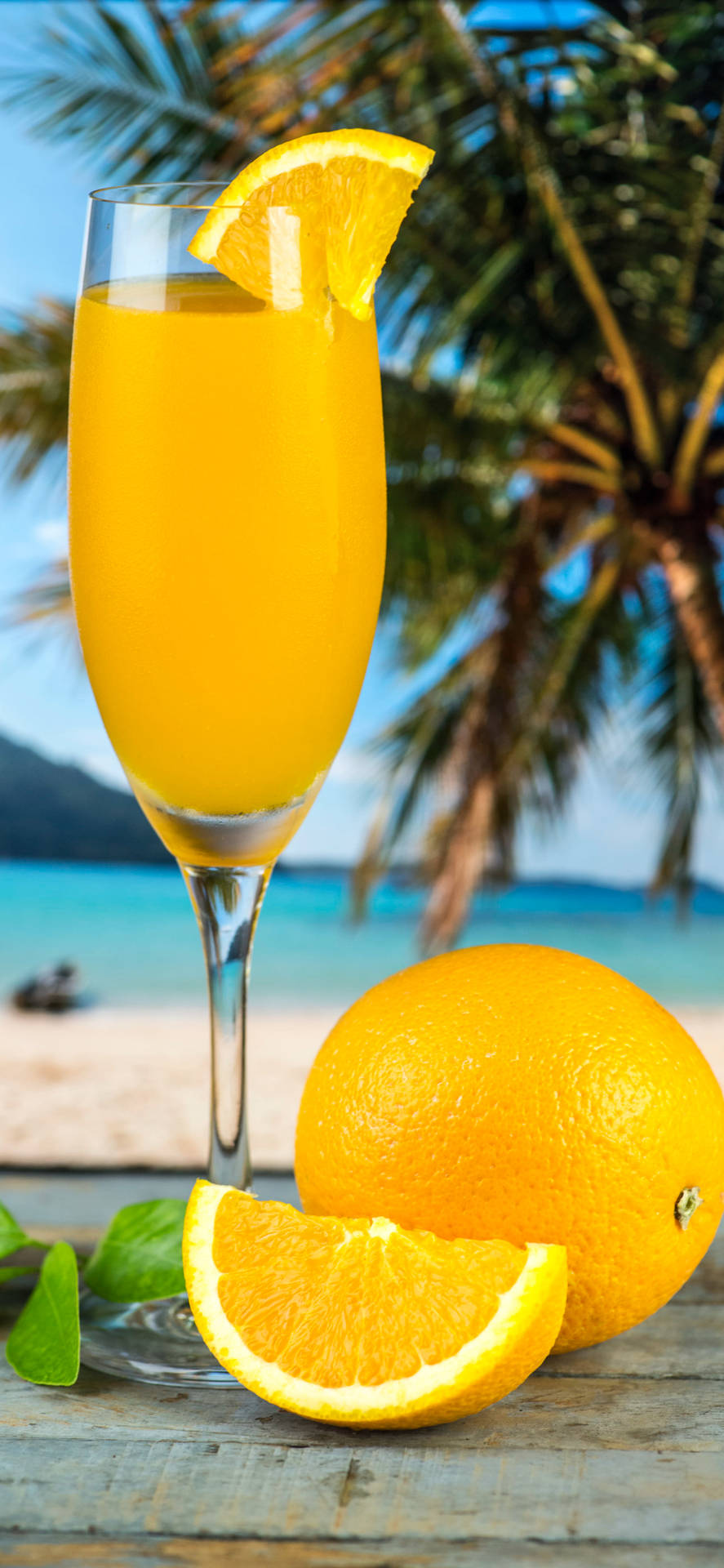 Fresh Orange Tropical Drink Background