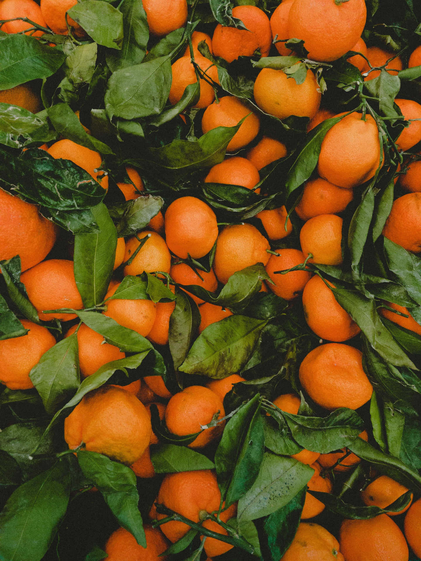 Fresh Oranges With Leaves Texture Background