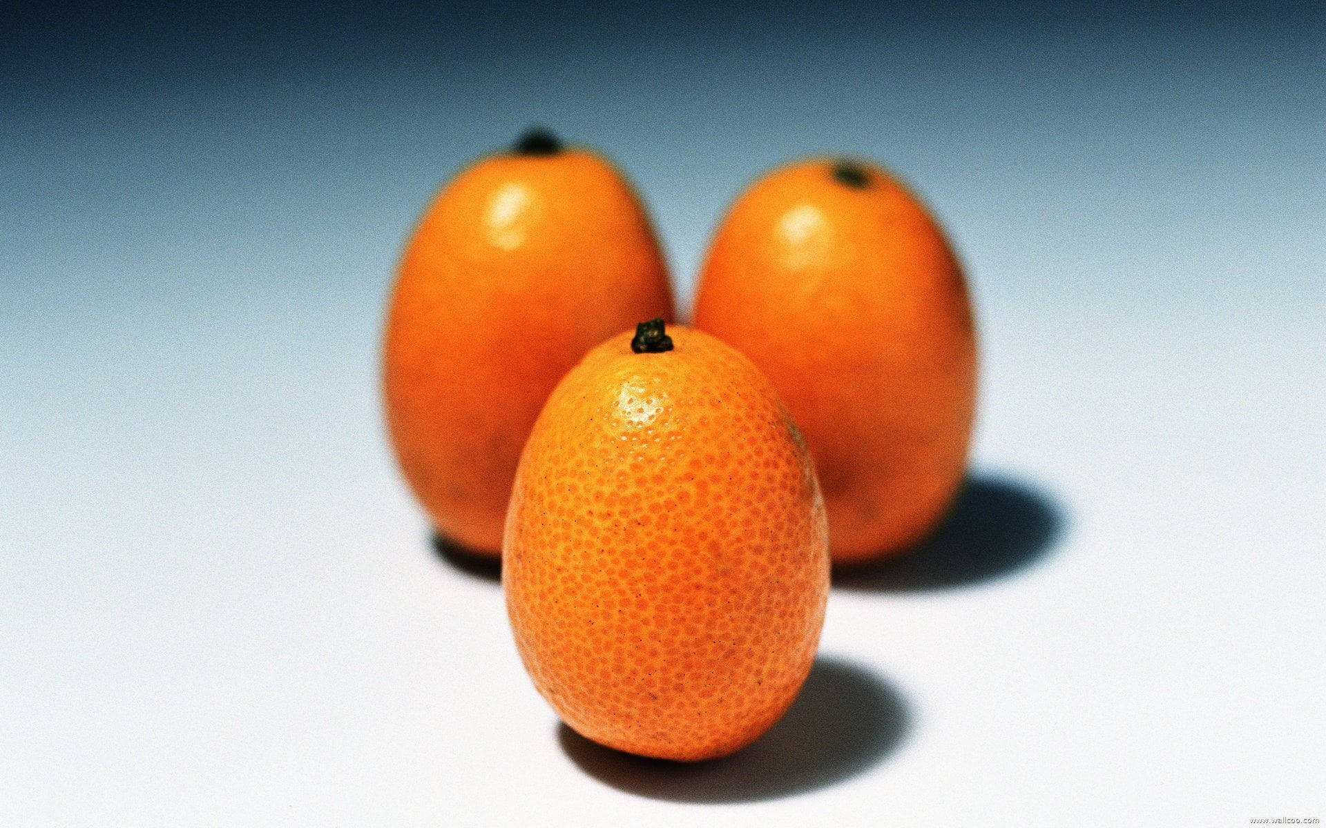 Fresh Organic Kumquat Piled Up