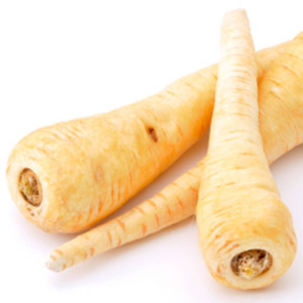 Fresh Organic Parsnip Root Crop Background