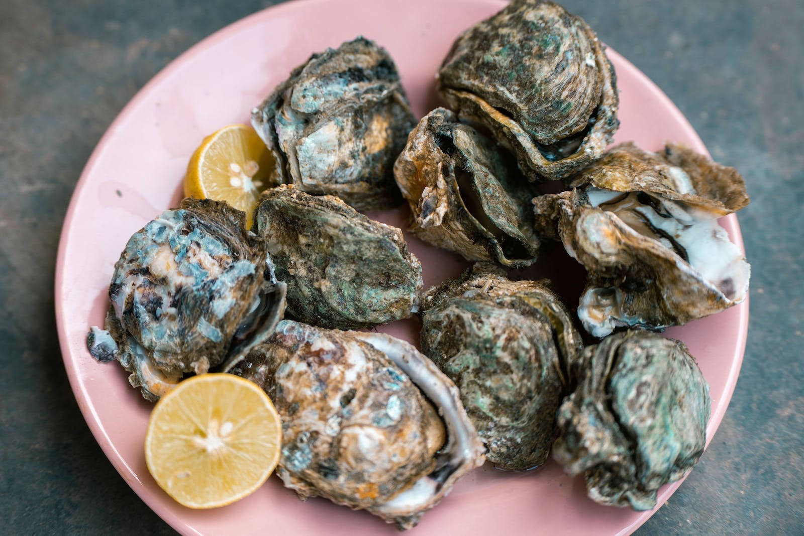 Fresh Oysters Food Desktop Background