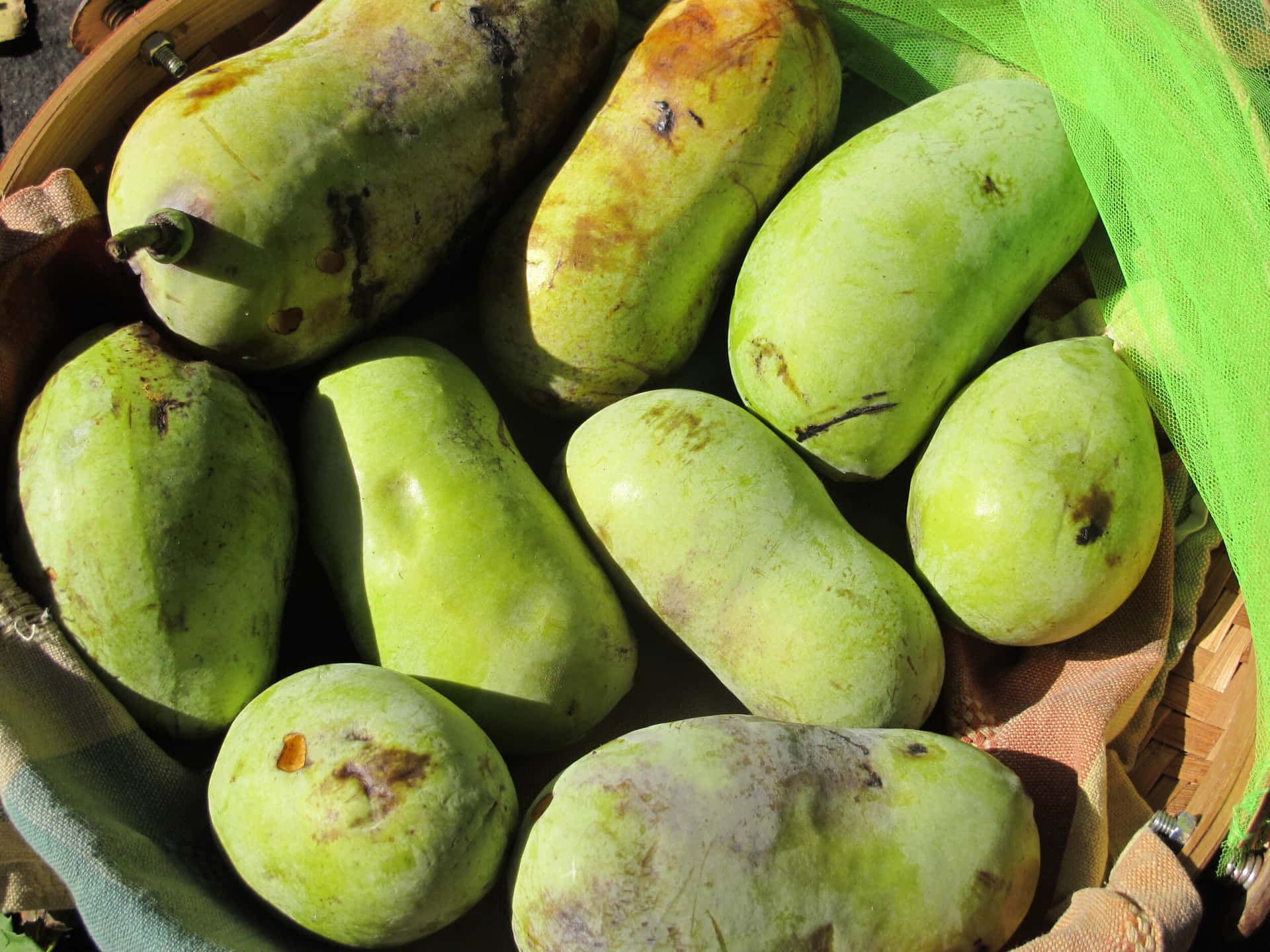 Fresh Pawpaw Fruit Basket Background