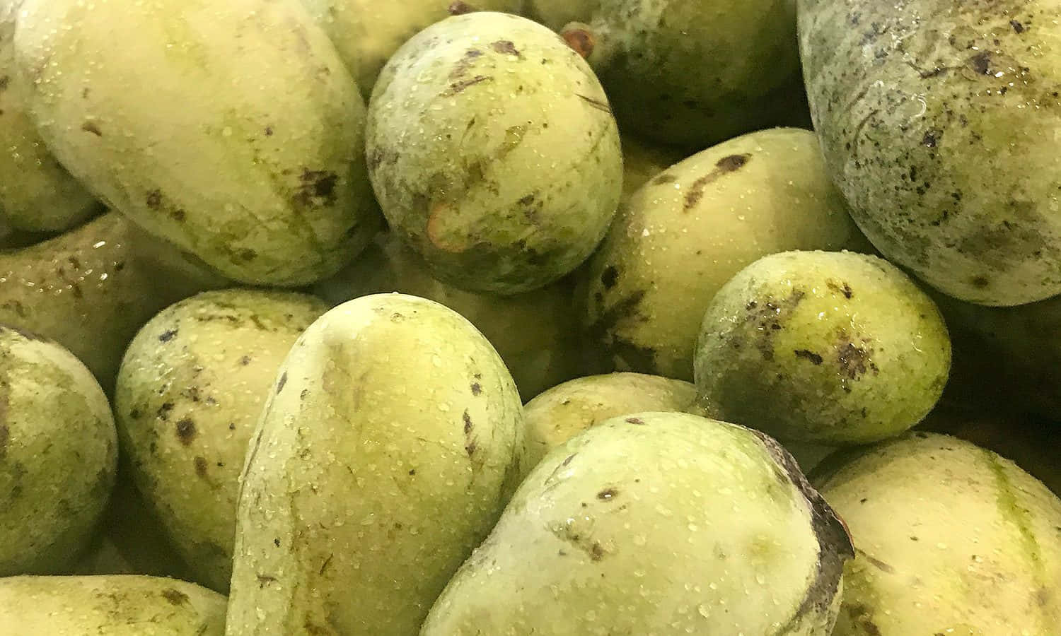 Fresh Pawpaw Fruit Display