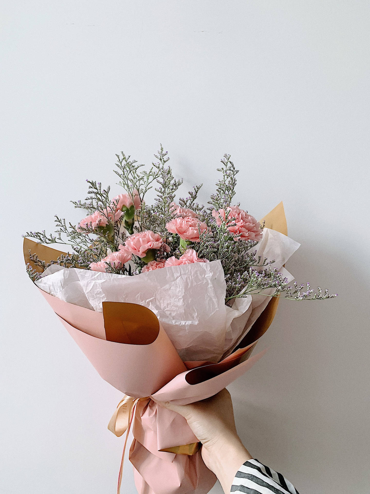 Fresh Pink Carnations Flower Bouquet Background