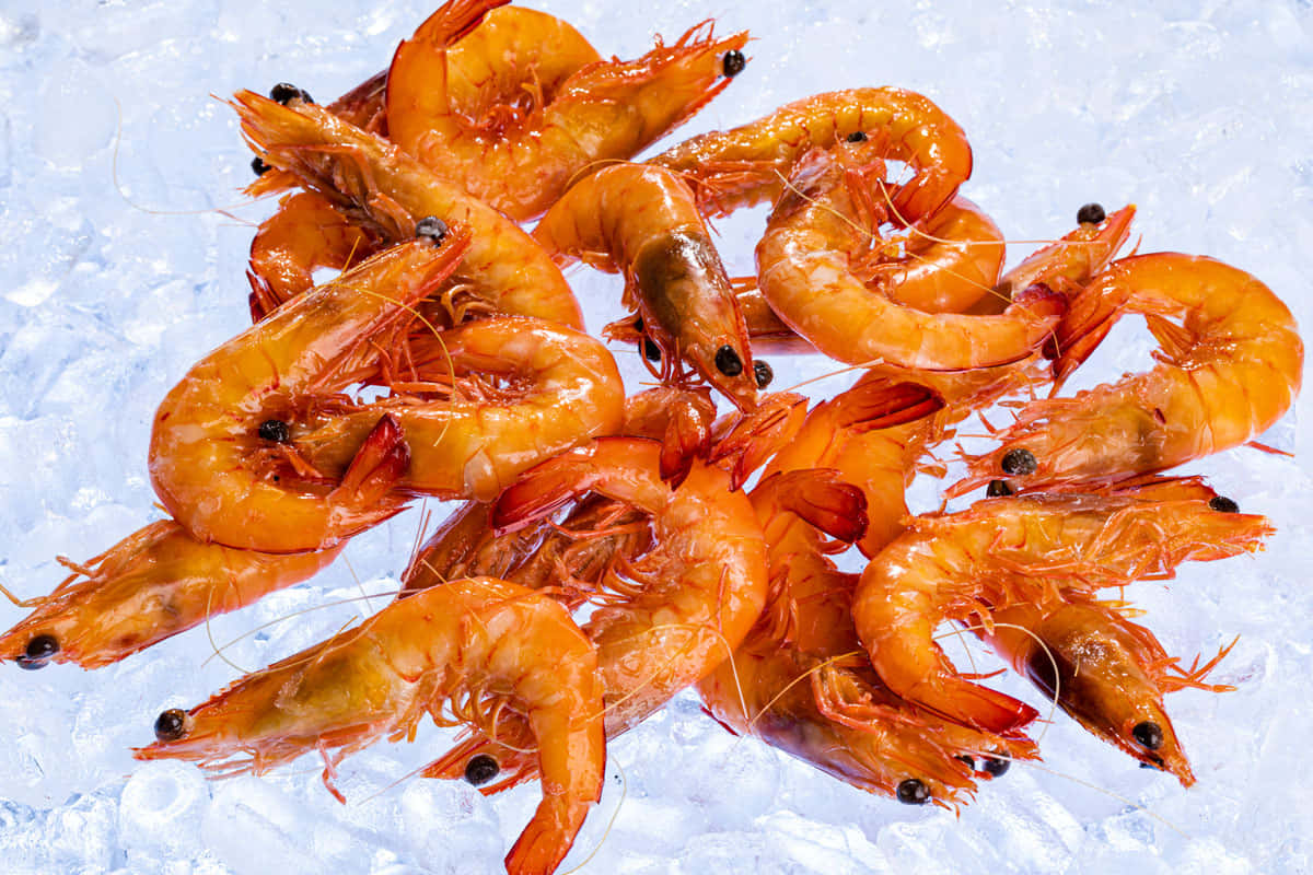 Fresh Prawns On Ice.jpg Background