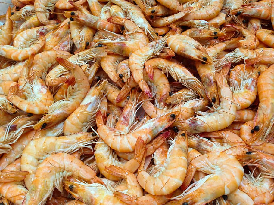 Fresh Prawns Seafood Market.jpg Background