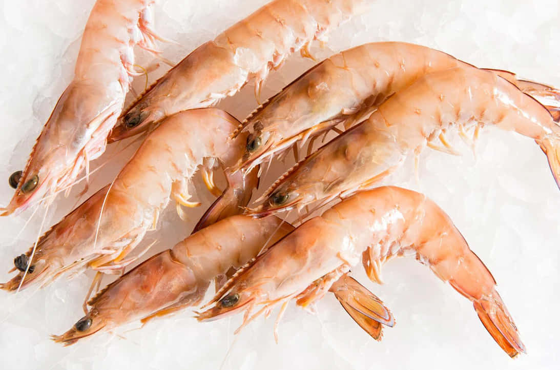 Fresh Prawns Top View