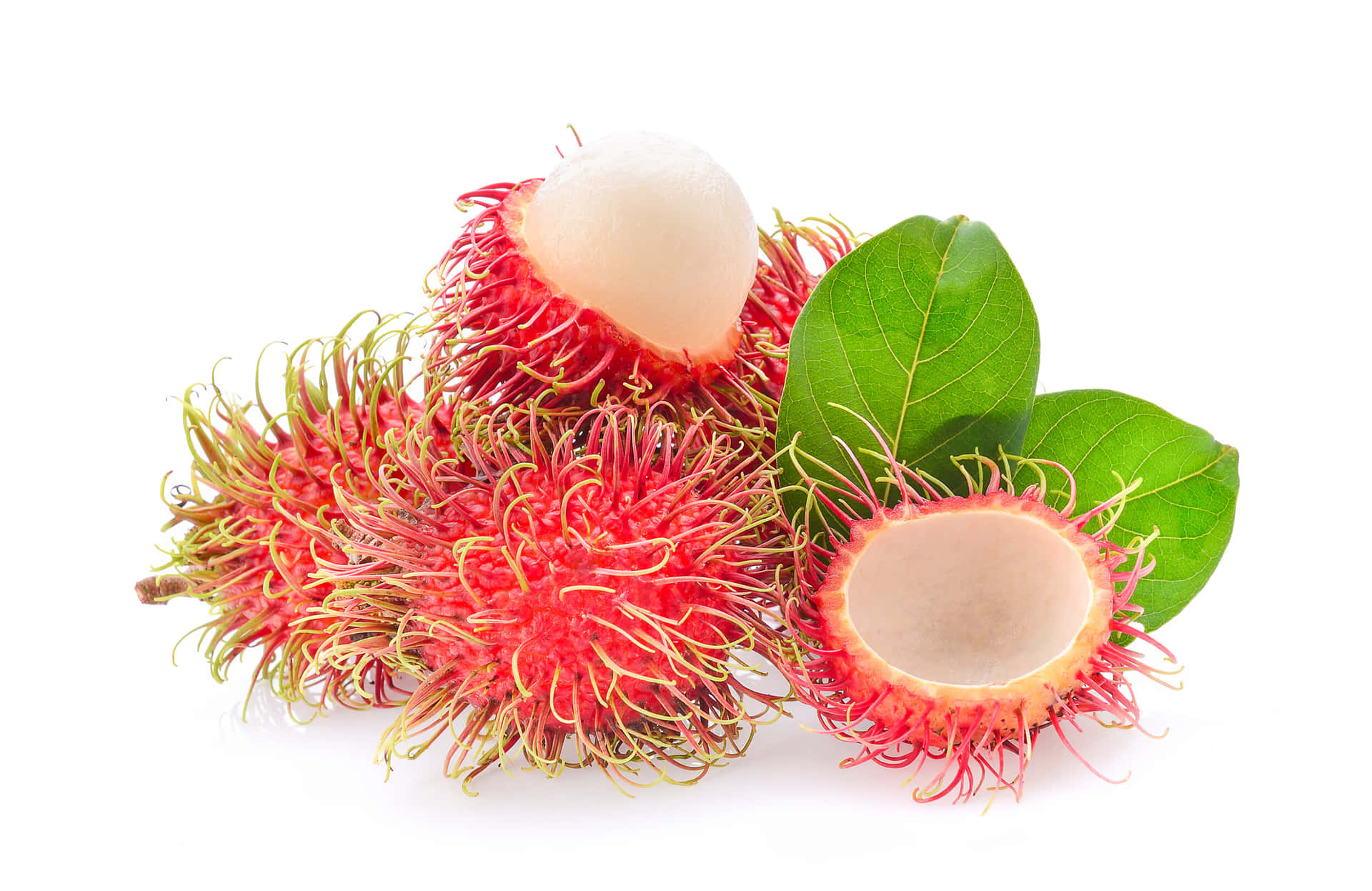 Fresh Pulasan Fruit