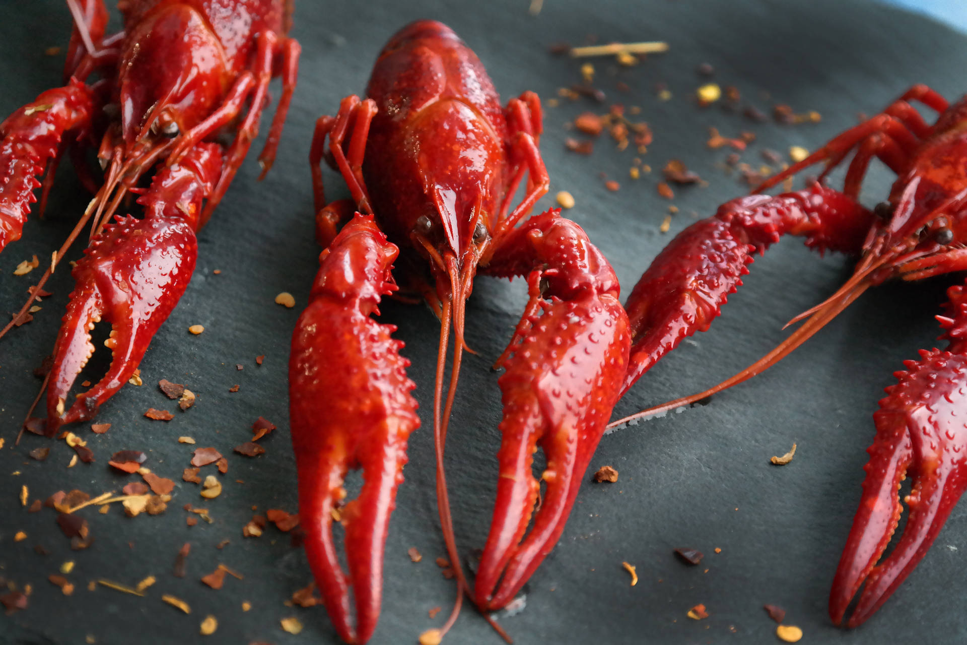 Fresh Red Crayfish With Dried Leaves