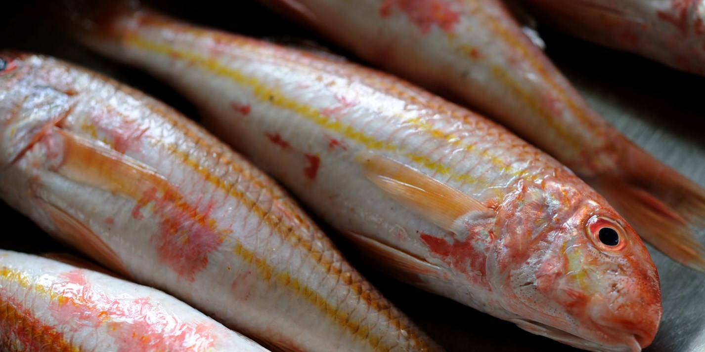 Fresh Red Mullets Display