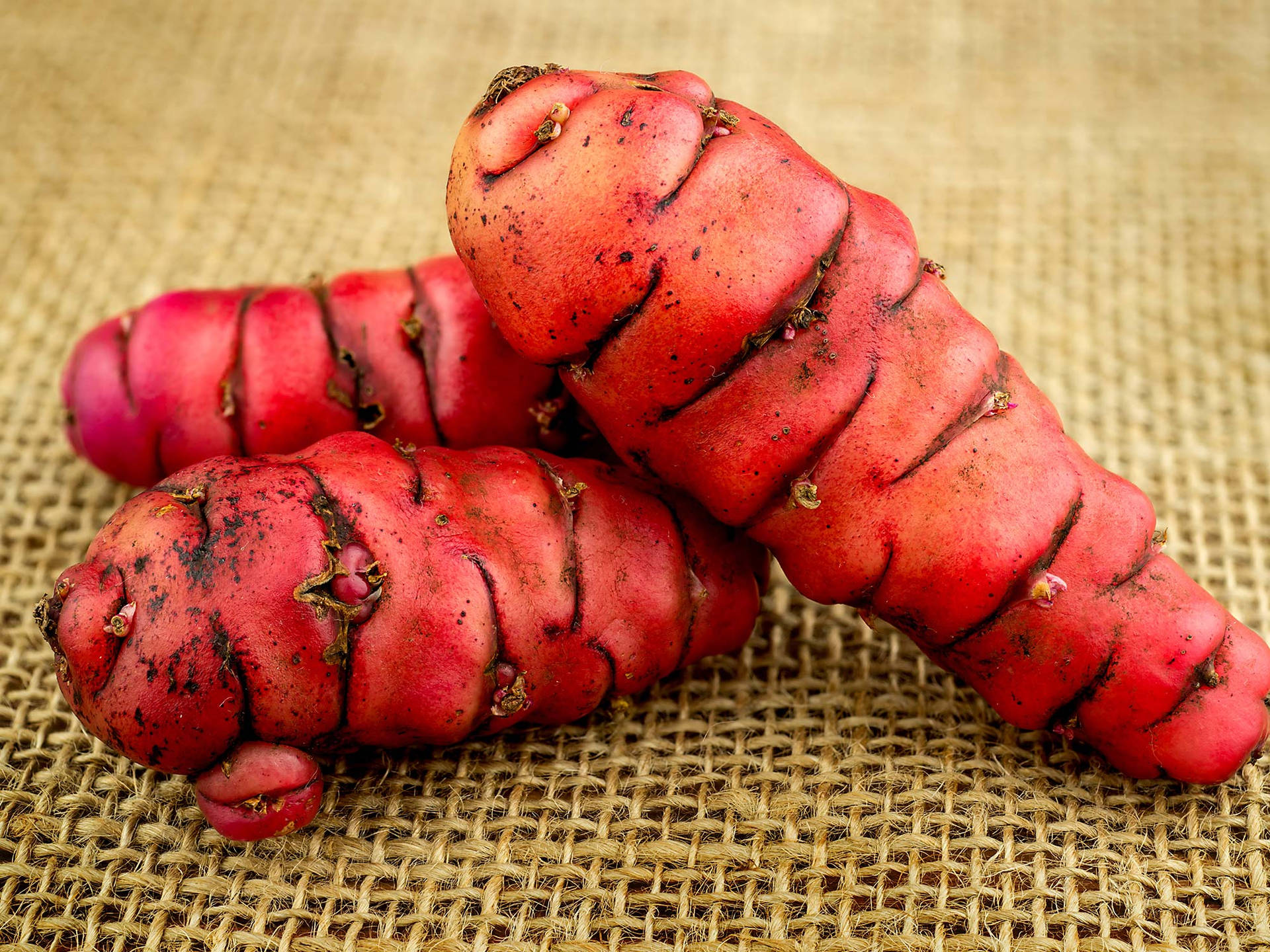 Fresh Red Yam On Brown Cloth Background