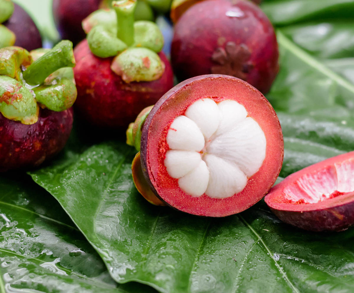 Fresh, Ripe Mangosteen (garcinia Mangostana) Against A Natural Backdrop.