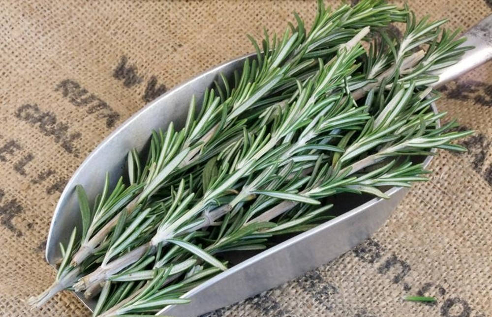 Fresh Rosemary In A Ceramic Bowl Background