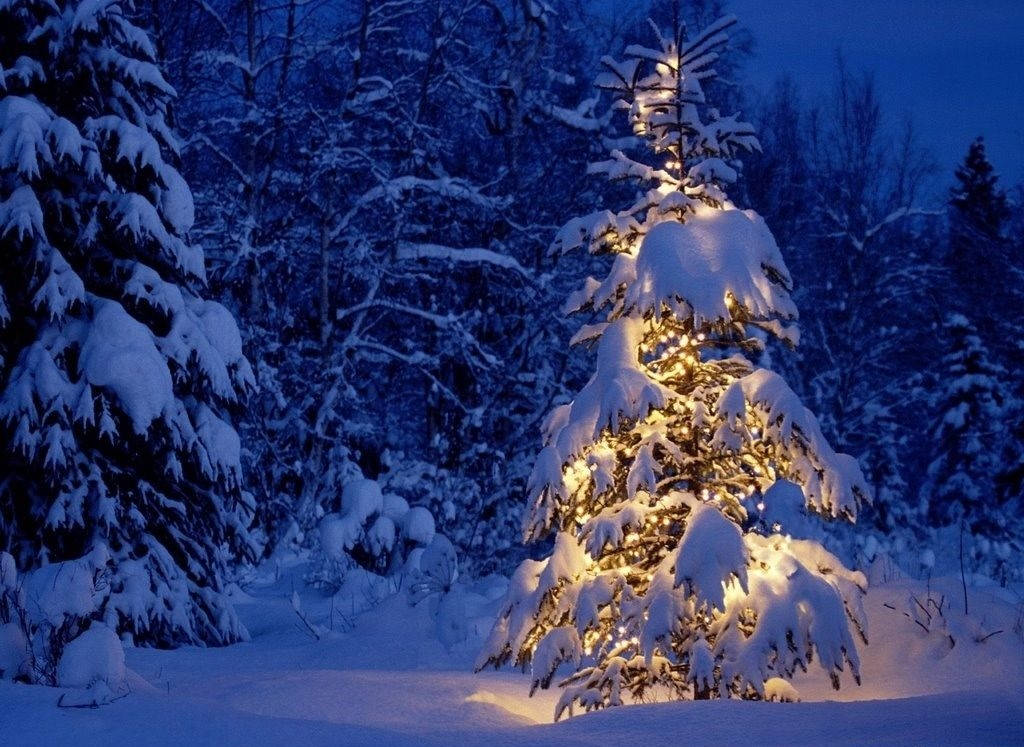 Fresh Snow In A Picturesque Winter Village Background