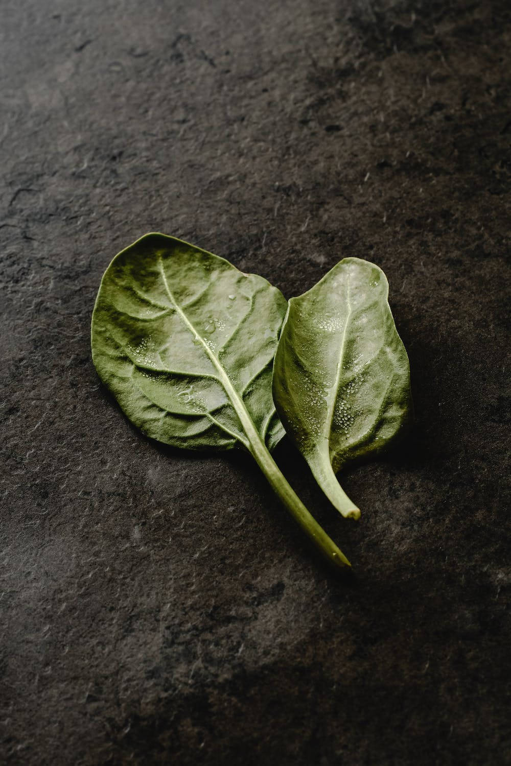 Fresh Spinach Leaves On A Black Surface