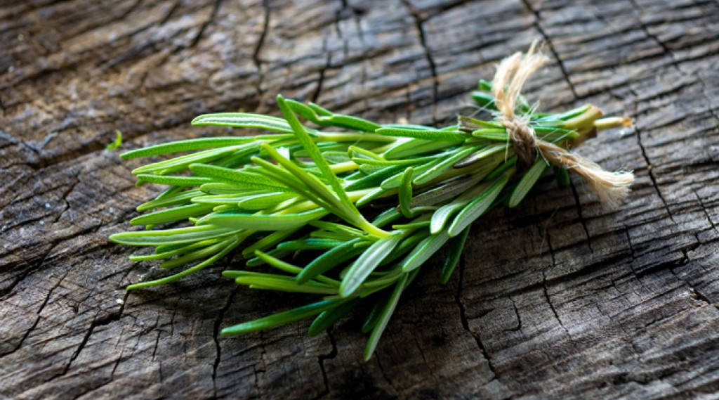 Fresh Sprigs Of Rosemary On Dark Wood Background