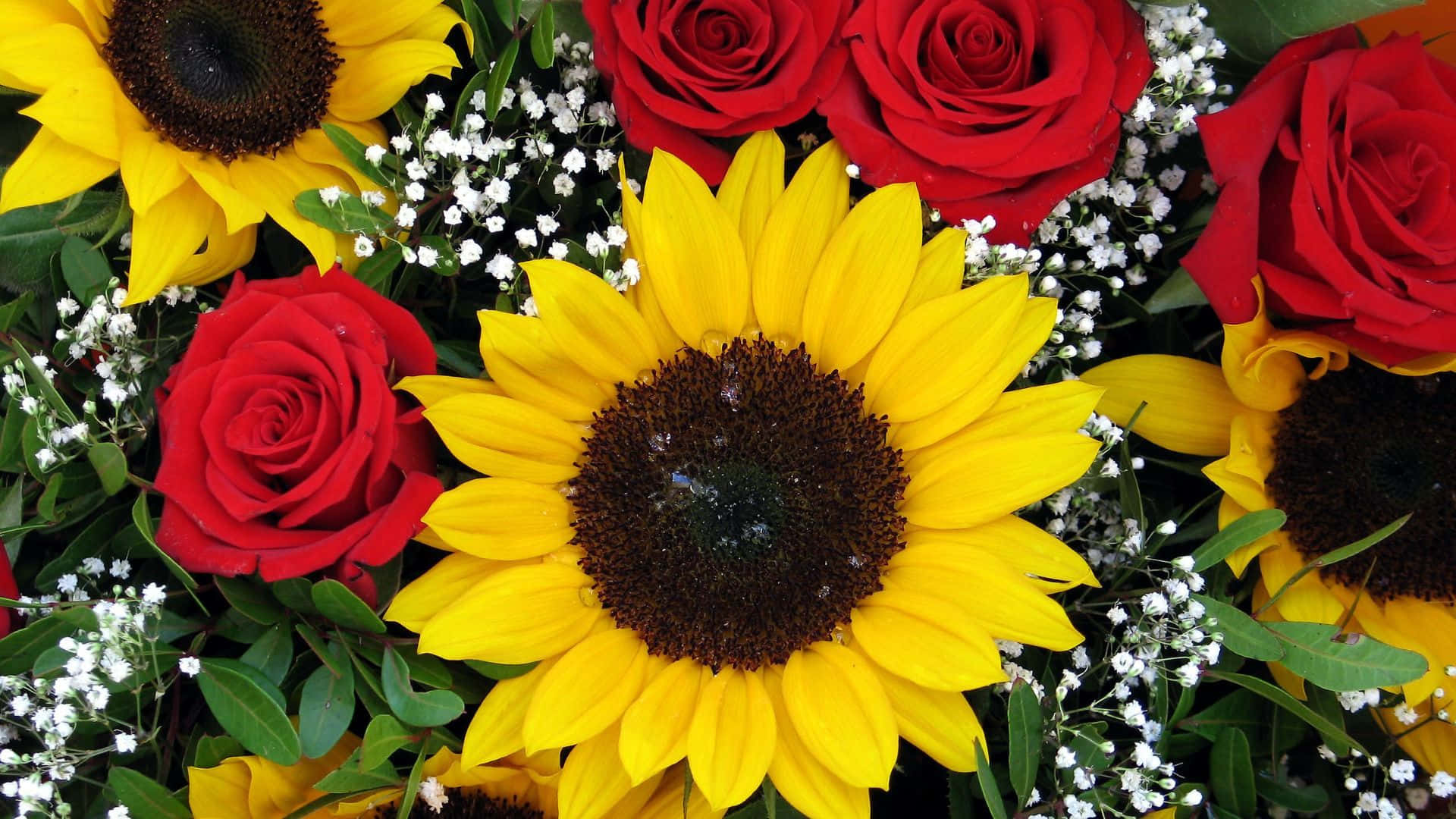 Fresh Sunflowers And Roses From Garden Background