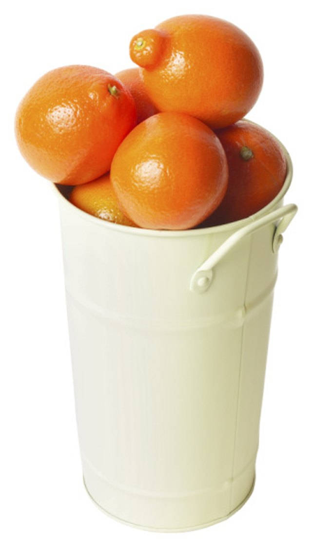 Fresh Tangelo Fruits In Cup Background