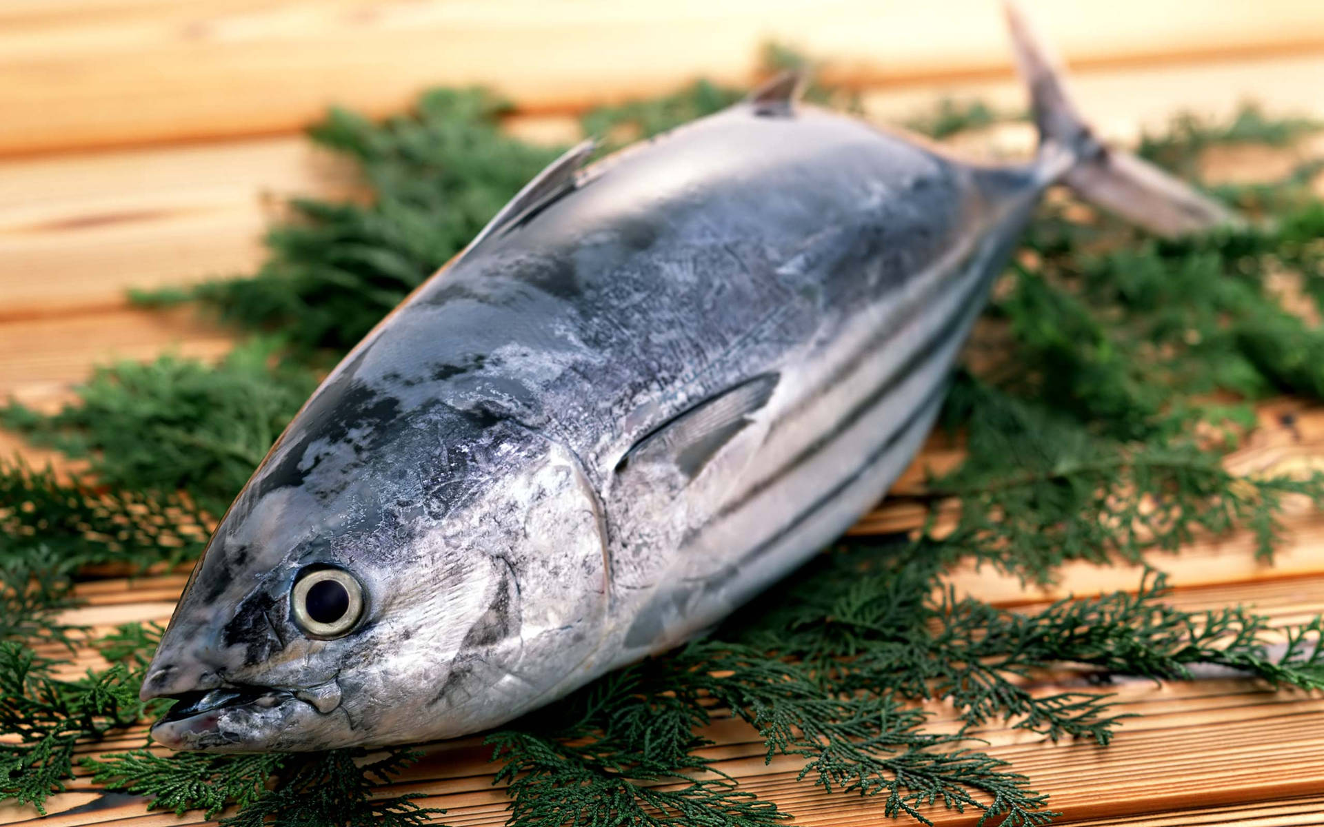 Fresh Tuna Fish On A Wooden Surface Background