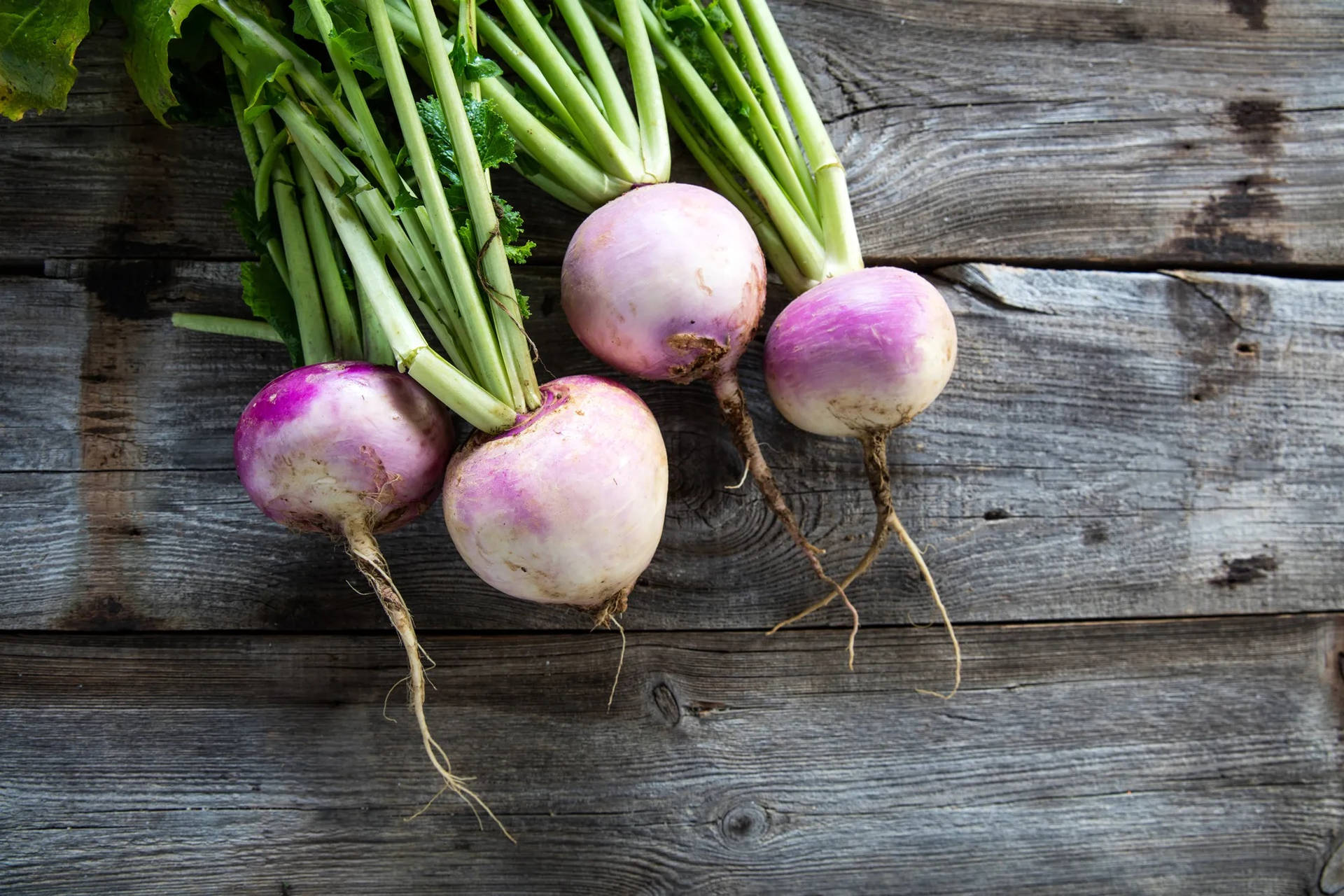 Fresh Turnips On A Rustic Wooden Surface Background