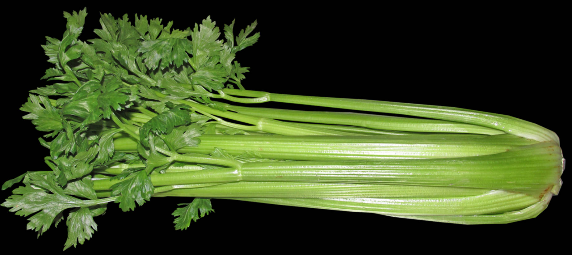 Fresh & Vibrant Celery Bunch Background