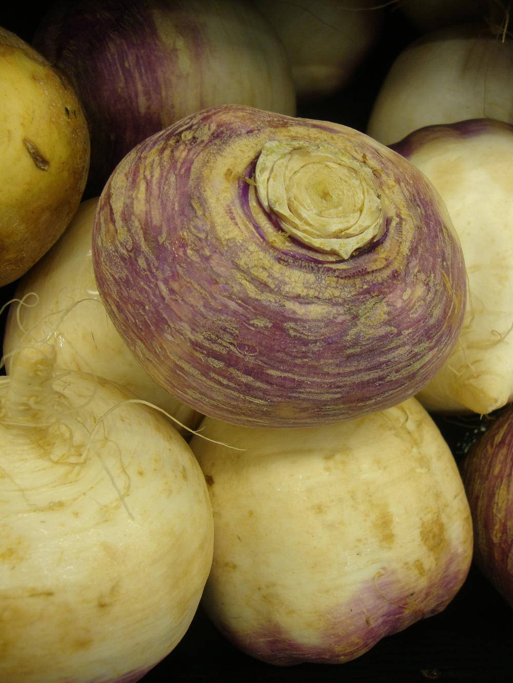 Fresh White Turnip Vegetable Background