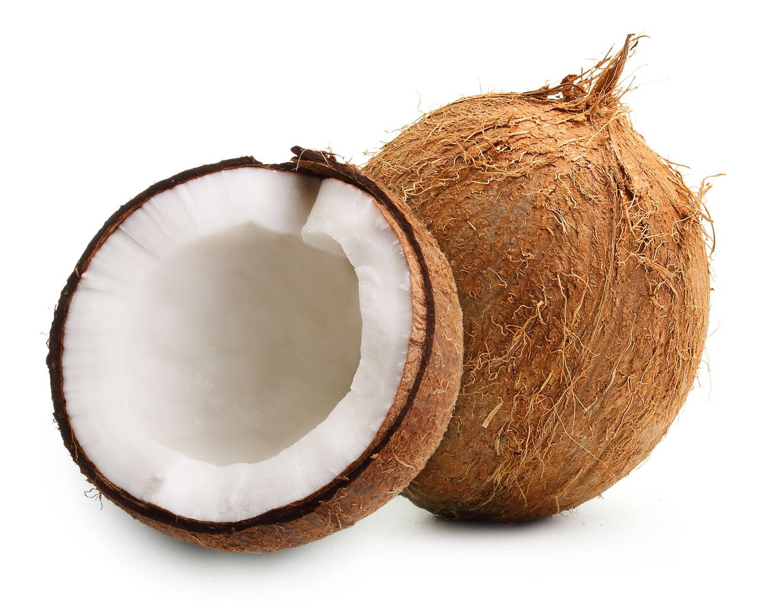 Fresh, Whole, Semi-husked Coconut Background