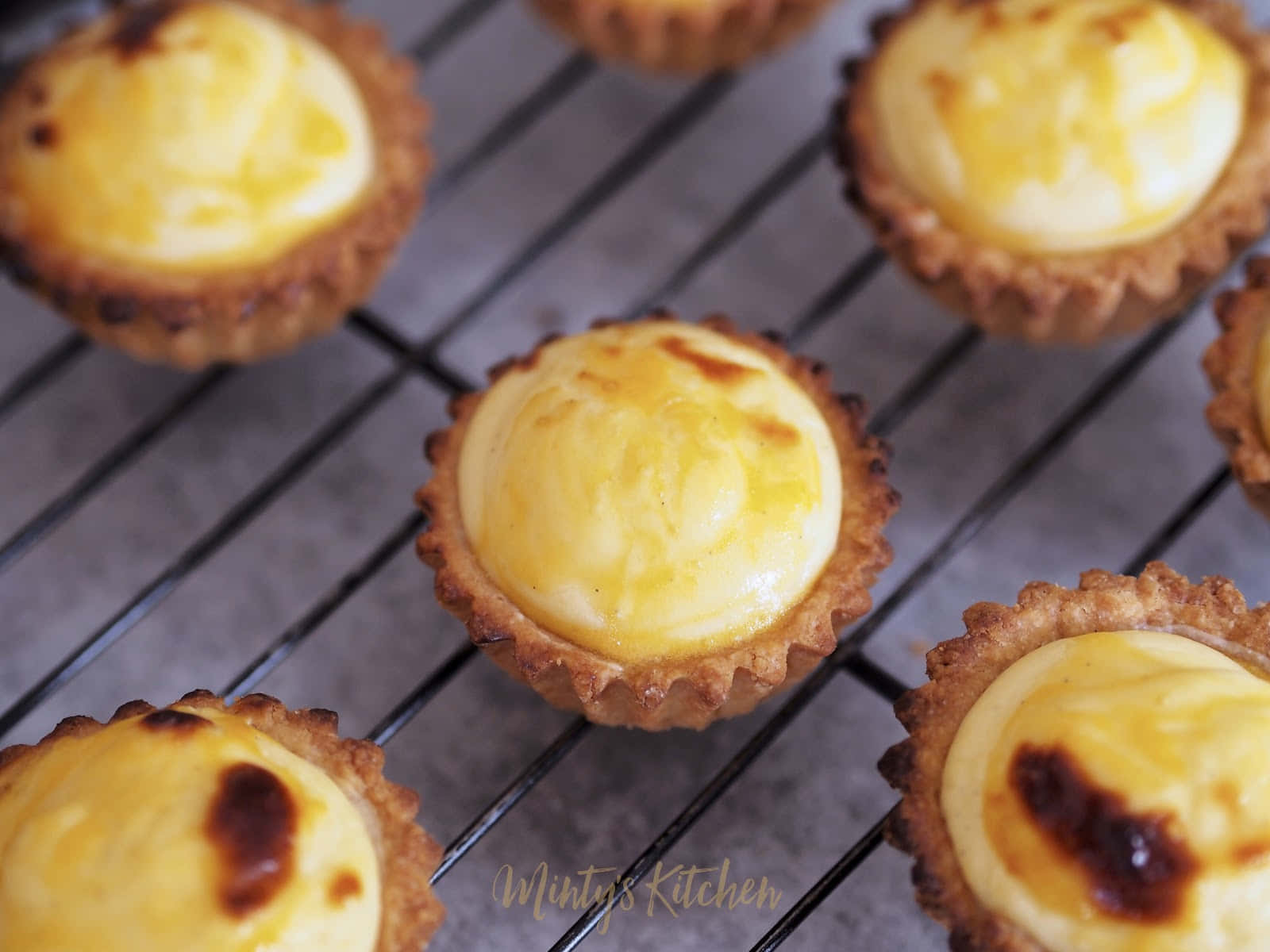 Freshly Baked Custard Tart