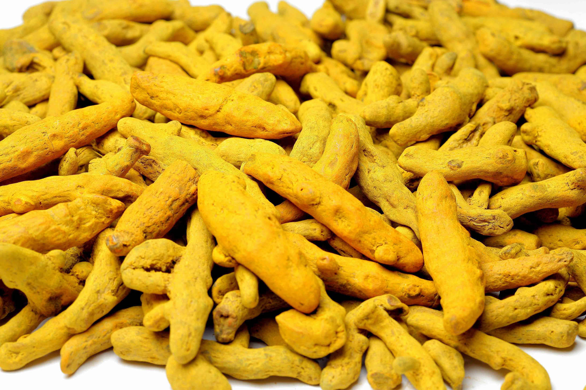 Freshly Clean Turmeric Rhizomes Background