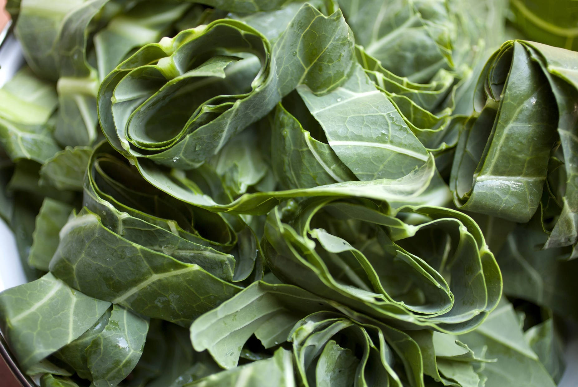 Freshly Cut Collard Greens Vegetable