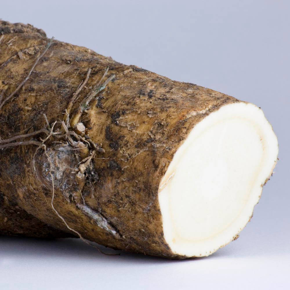 Freshly Cut Horseradish Root Background