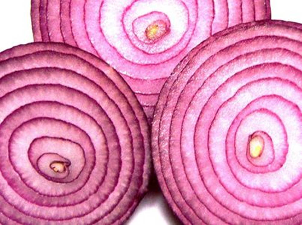 Freshly Cut Red Onion Slices Background