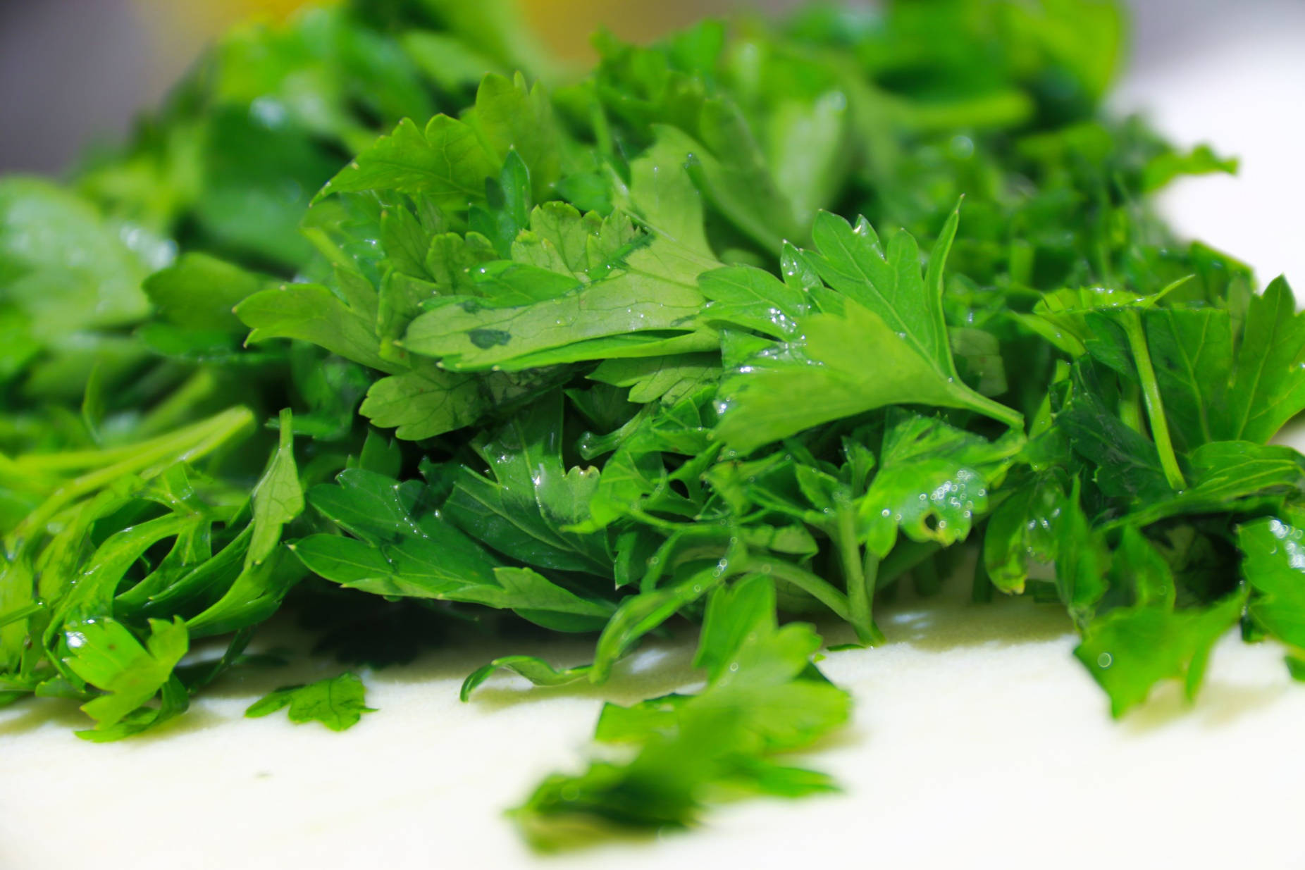 Freshly Cut Vibrant Coriander Herbs Macro Shot