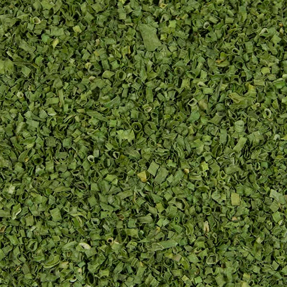 Freshly Dried Green Chives Background