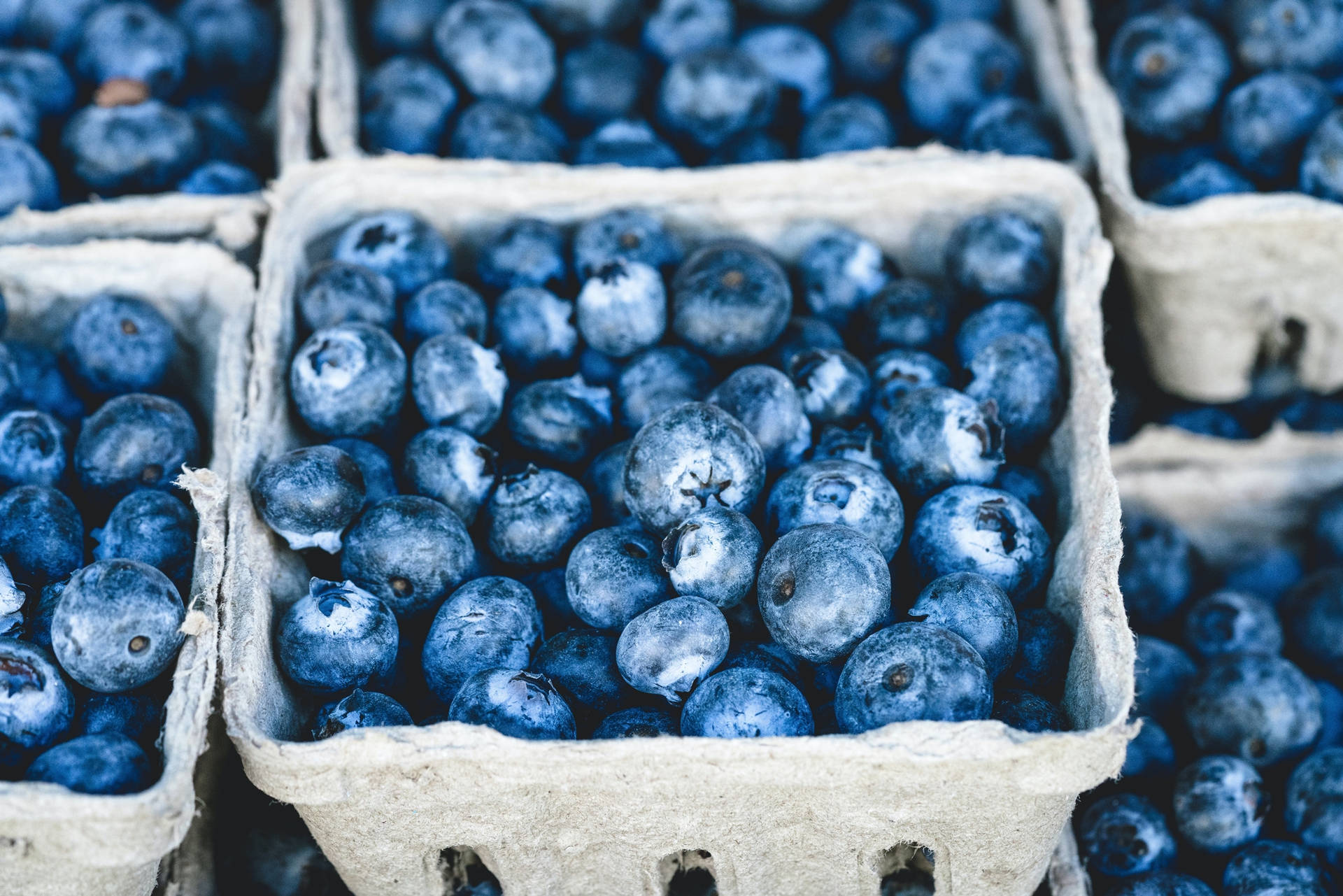 Freshly Harvested Blueberries In Small Wooden Crates Background