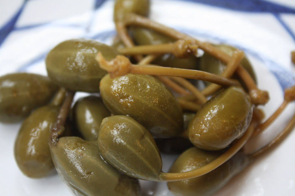 Freshly Harvested Green Capers Background