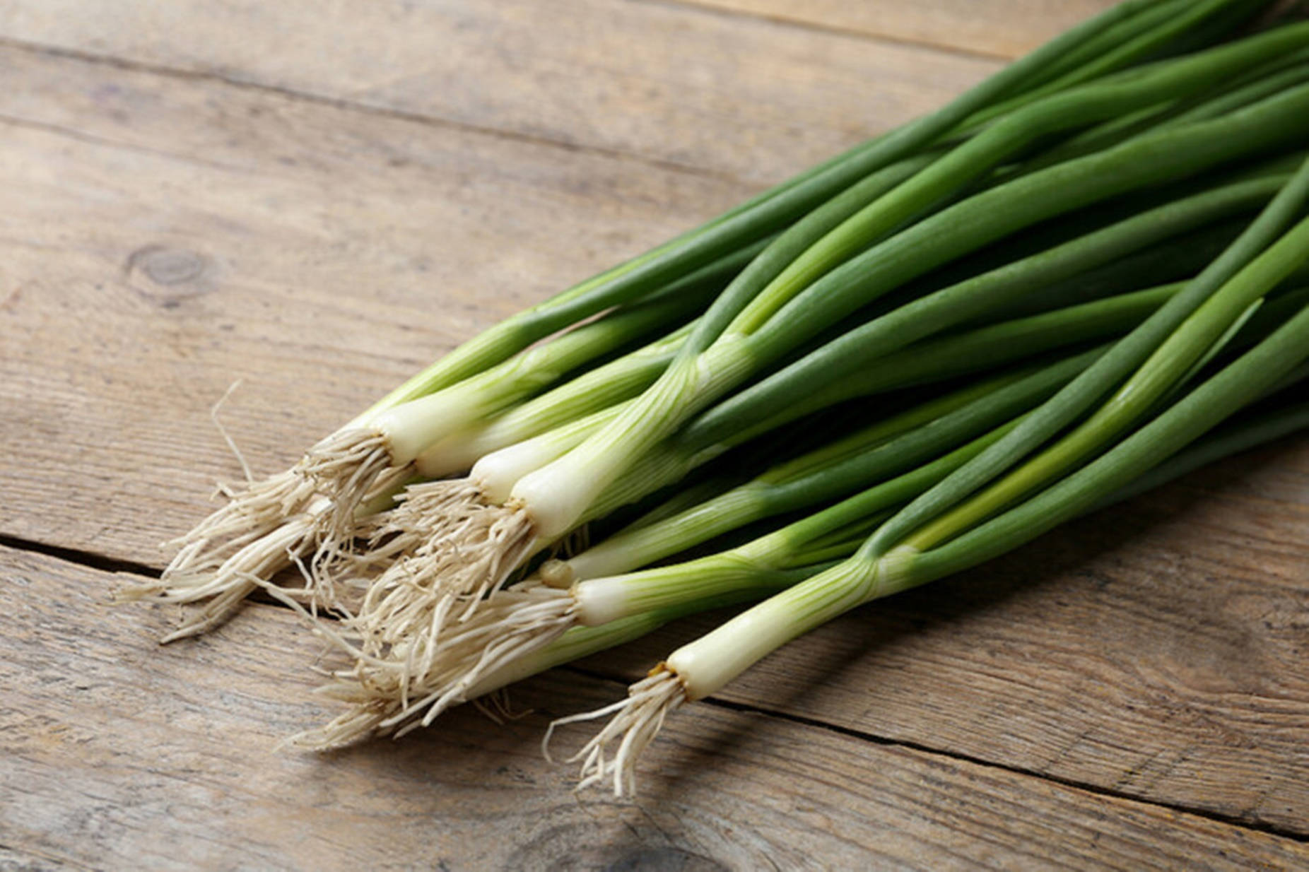 Freshly Harvested Green Onions Background