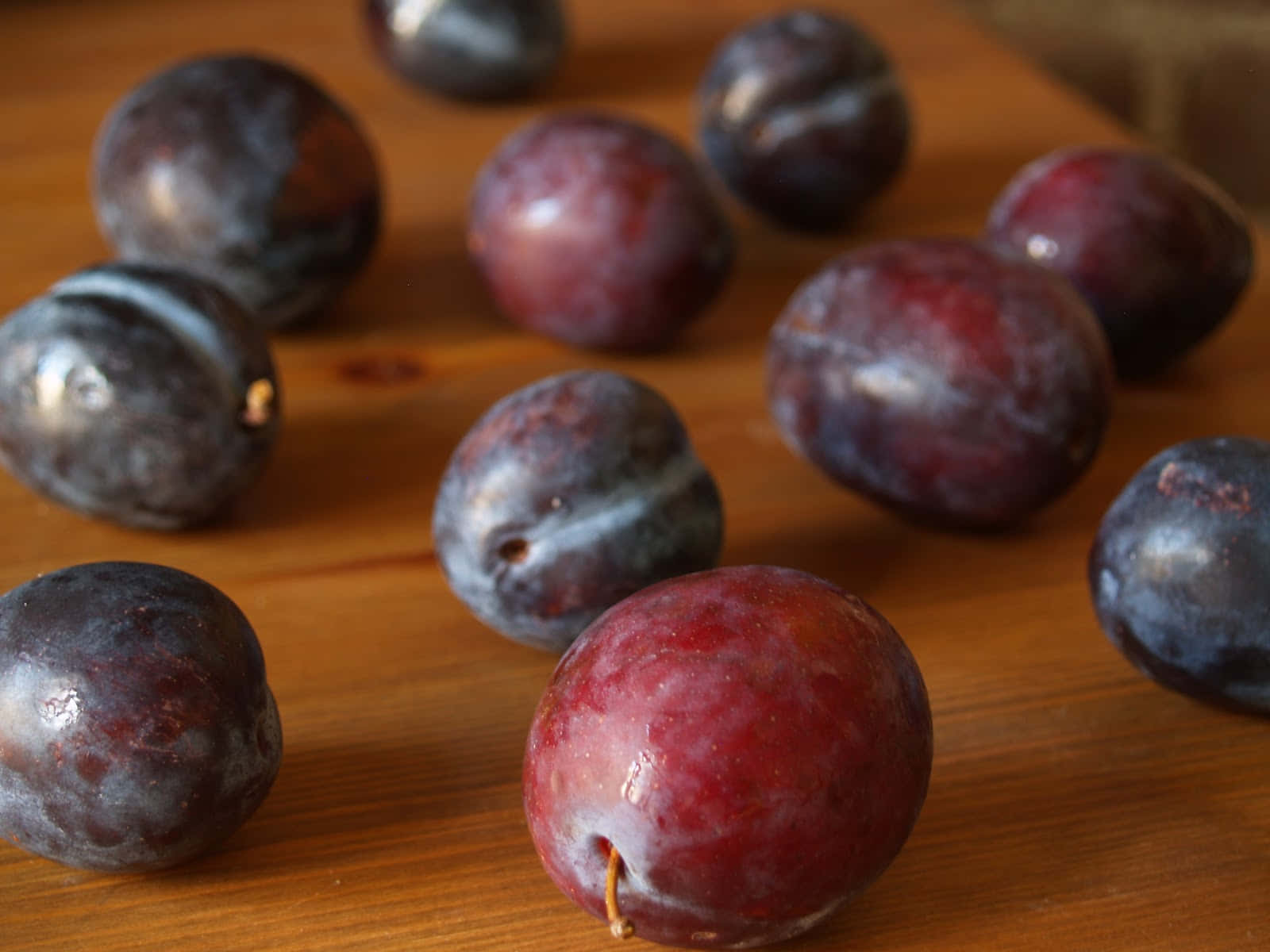Freshly Harvested Italian Prune Plums Background