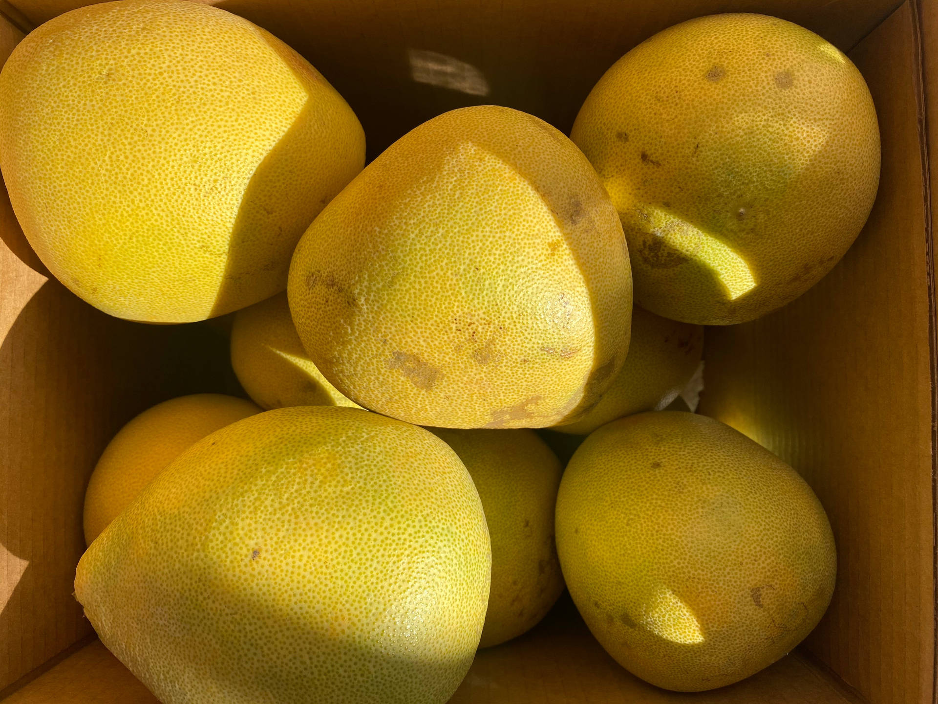 Freshly Harvested Pomelos In A Box Background