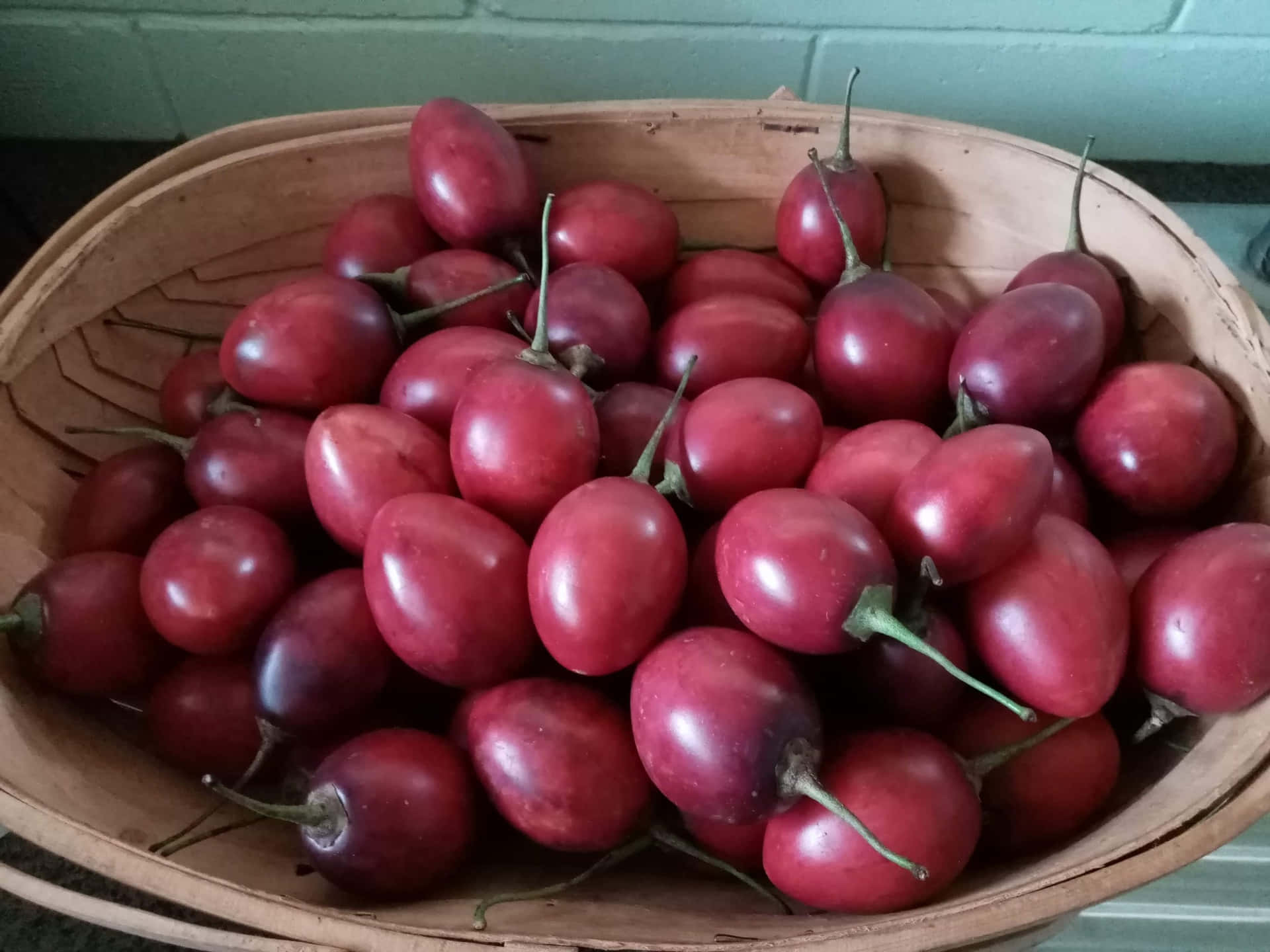 Freshly Harvested Tamarillo Fruits