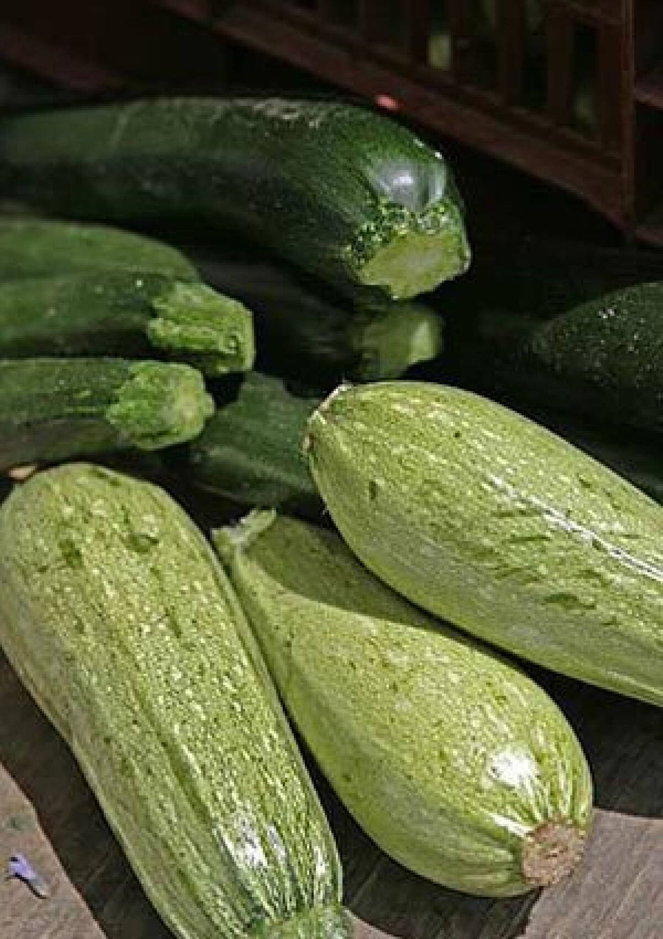 Freshly Harvested Zucchini Ronde De Nice French Variety Background