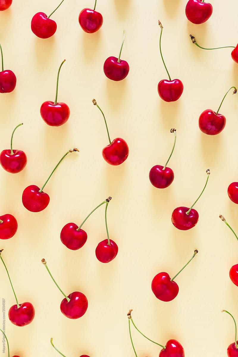 Freshly Picked Cute Cherries