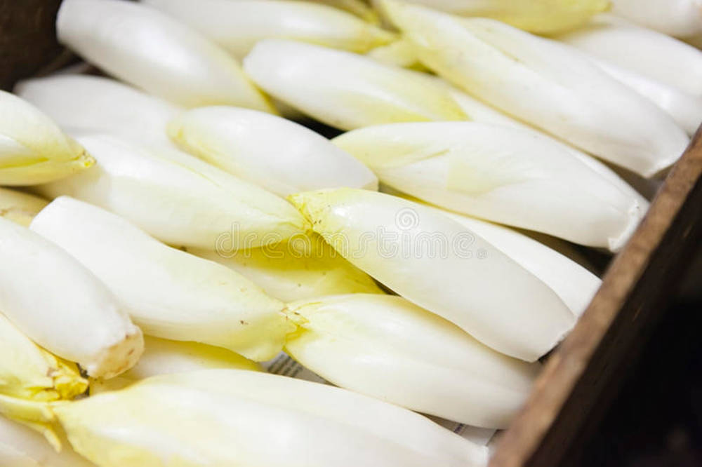 Freshly Picked Endives In Rustic Wooden Container Background