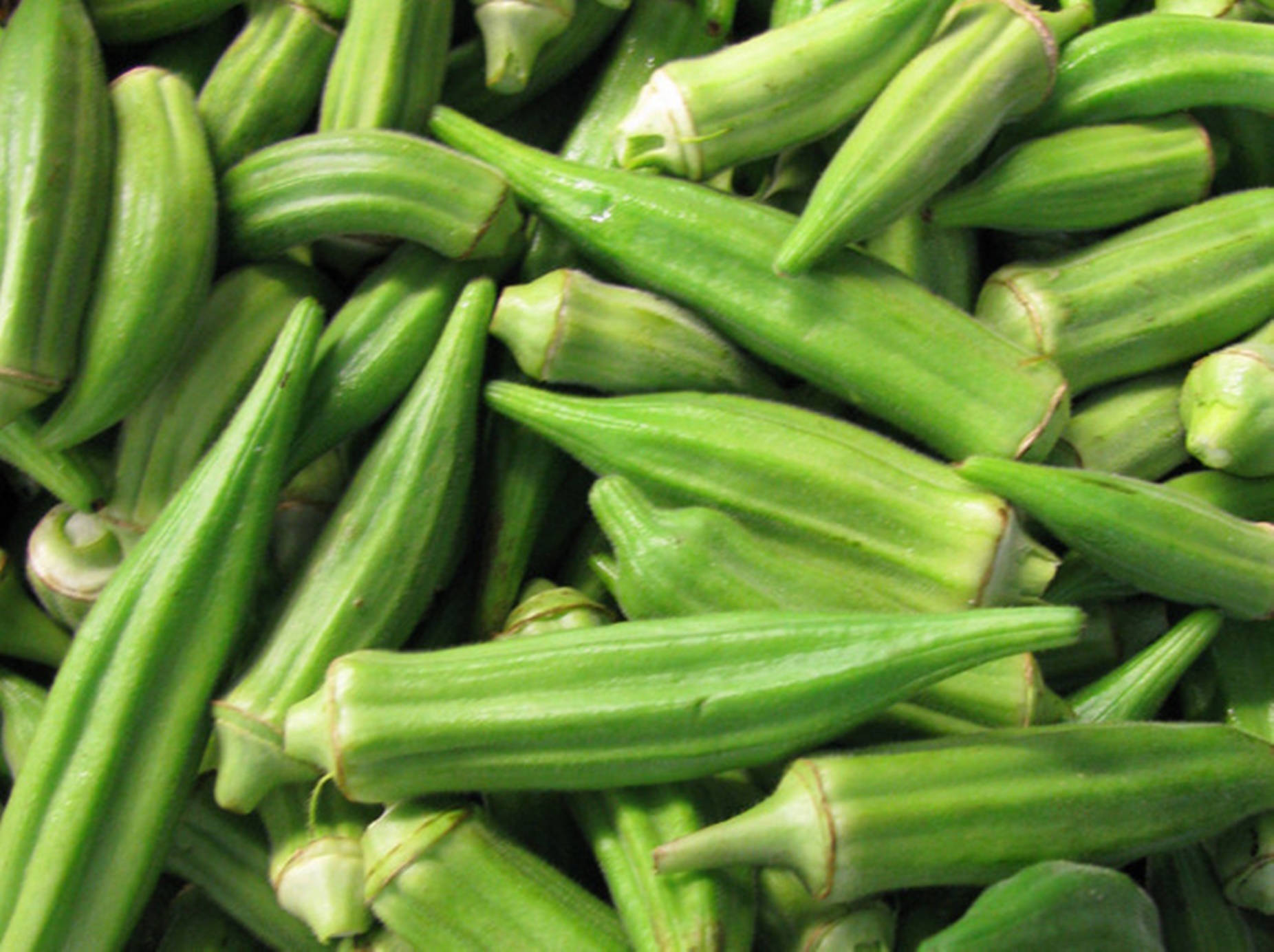 Freshly Picked Green Okra Background