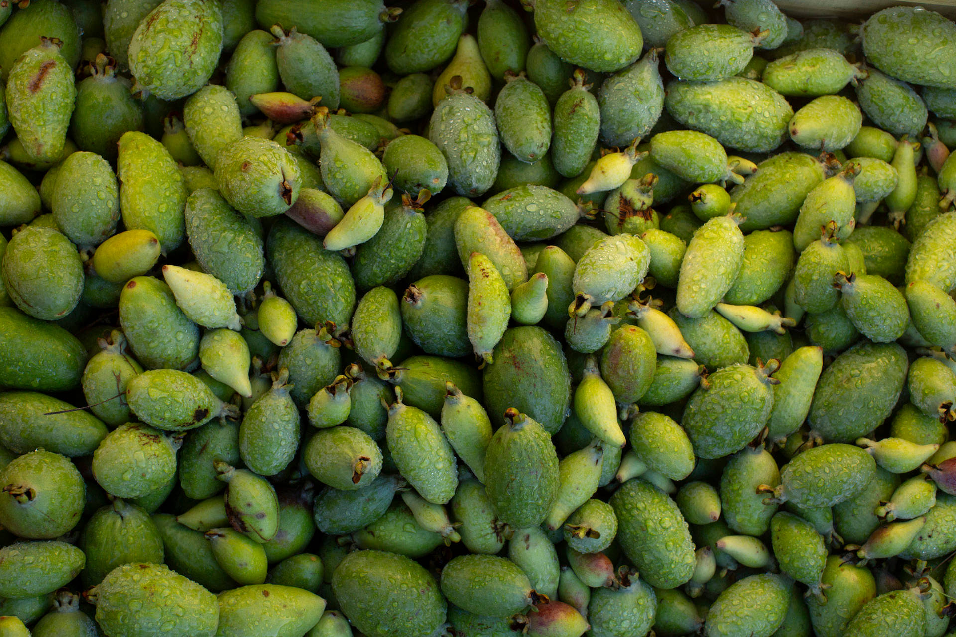 Freshly Picked Heap Of Feijoas Background